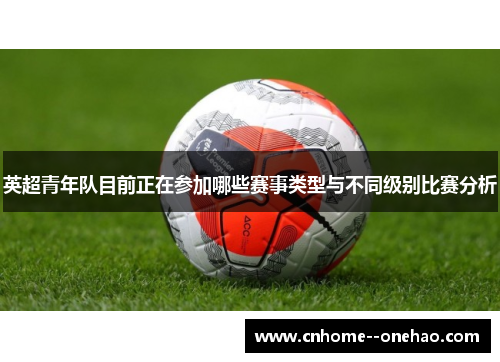 英超青年队目前正在参加哪些赛事类型与不同级别比赛分析 英超青年队目前正在参加哪些赛事类型与不同级别比赛分析