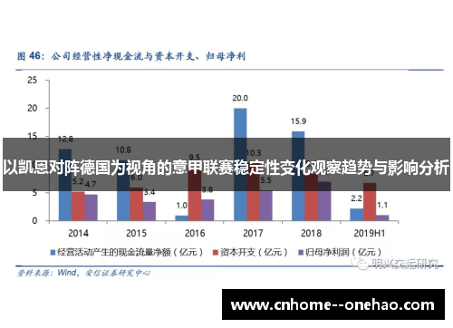 以凯恩对阵德国为视角的意甲联赛稳定性变化观察趋势与影响分析
