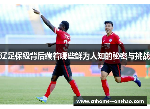 辽足保级背后藏着哪些鲜为人知的秘密与挑战