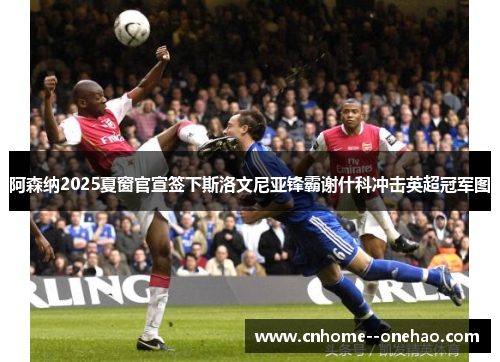 阿森纳2025夏窗官宣签下斯洛文尼亚锋霸谢什科冲击英超冠军图