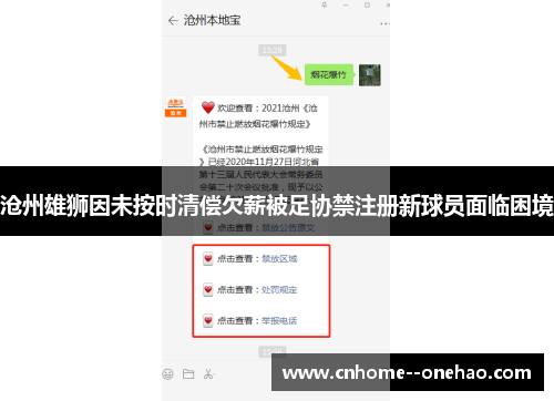 沧州雄狮因未按时清偿欠薪被足协禁注册新球员面临困境 沧州雄狮因未按时清偿欠薪被足协禁注册新球员面临困境