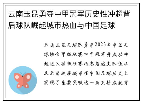 云南玉昆勇夺中甲冠军历史性冲超背后球队崛起城市热血与中国足球 云南玉昆勇夺中甲冠军历史性冲超背后球队崛起城市热血与中国足球