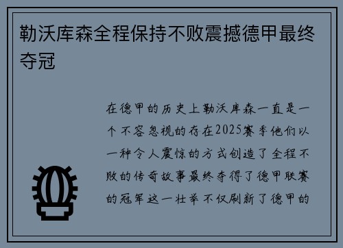 勒沃库森全程保持不败震撼德甲最终夺冠 勒沃库森全程保持不败震撼德甲最终夺冠